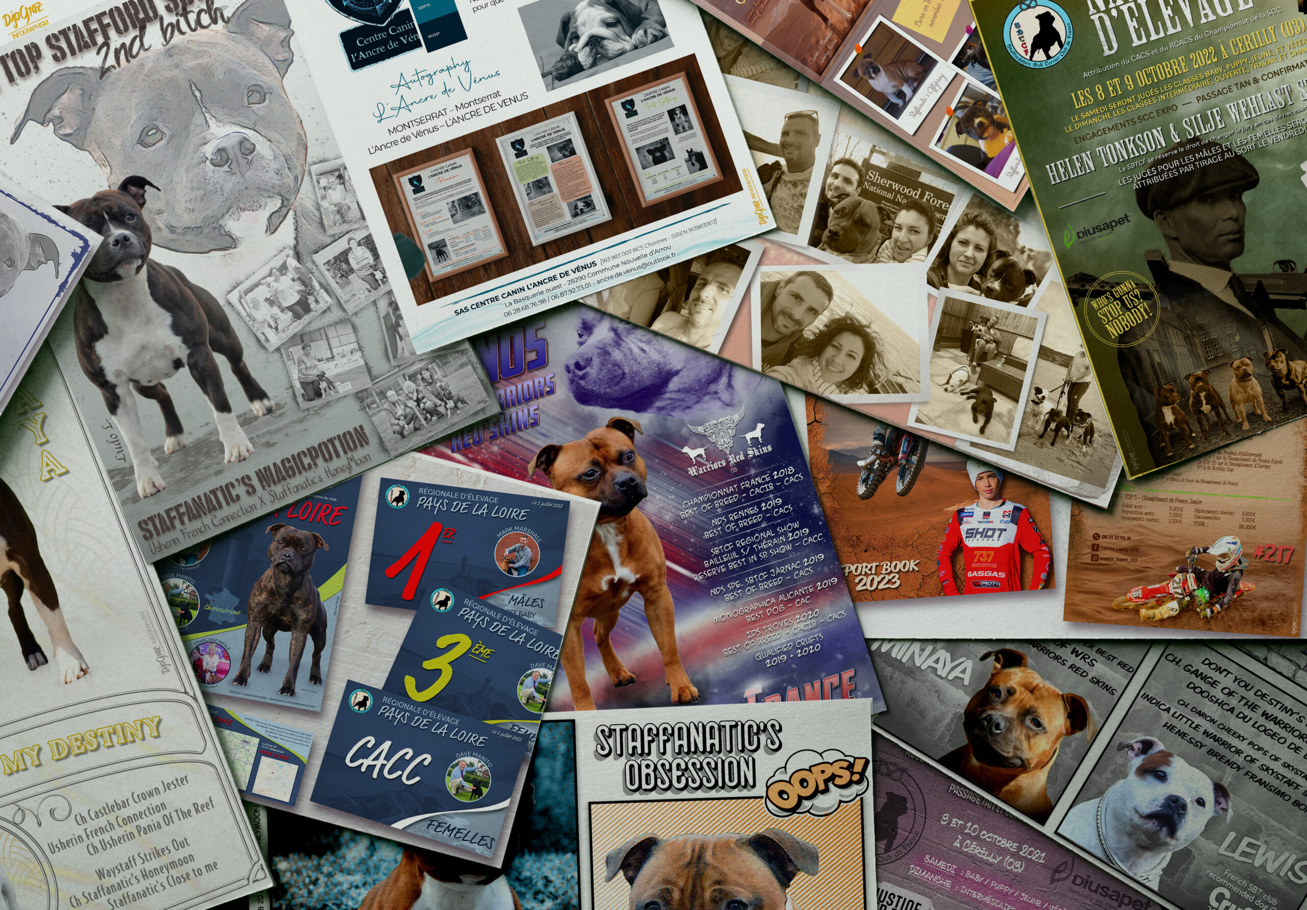 Demande affiche chien / élevage. Vous souhaitez me contacter pour l'affiche de valorisation d'un chien ou élevage. 