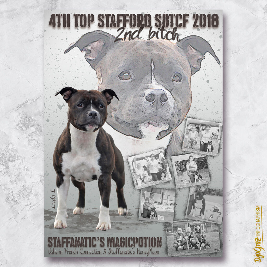 2018 TOP stafford MILKY