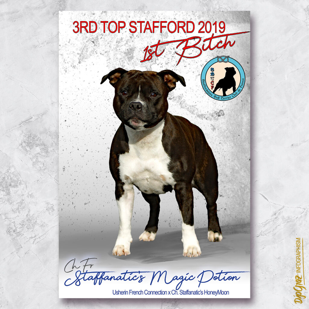 2019_SBTCF_Top Stafford