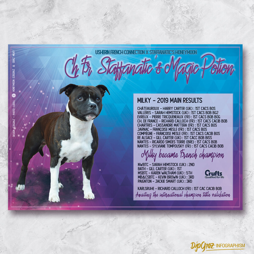 2019_MILKY bilan expo