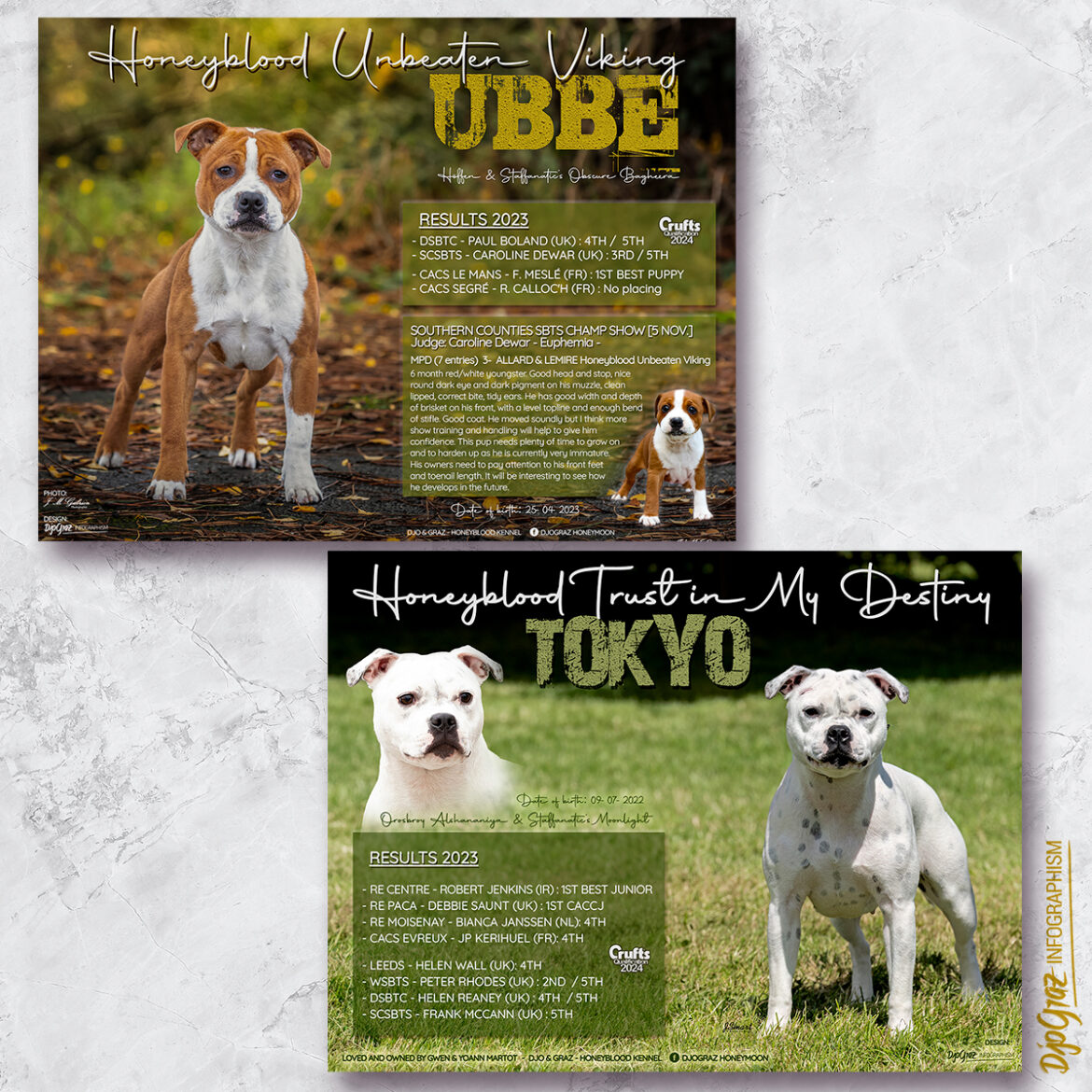 Affiche valorisation photo