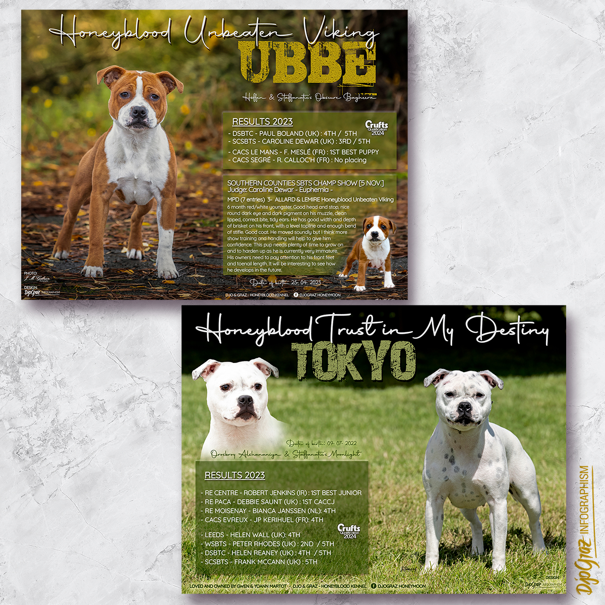 UBBE+TOKYO_show results