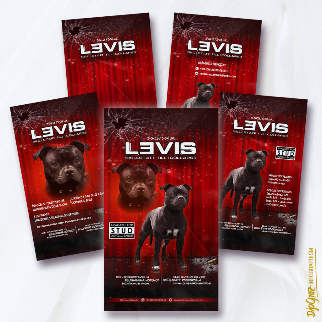 FB story - 16-9 - STUD: Pack de 5 affichages