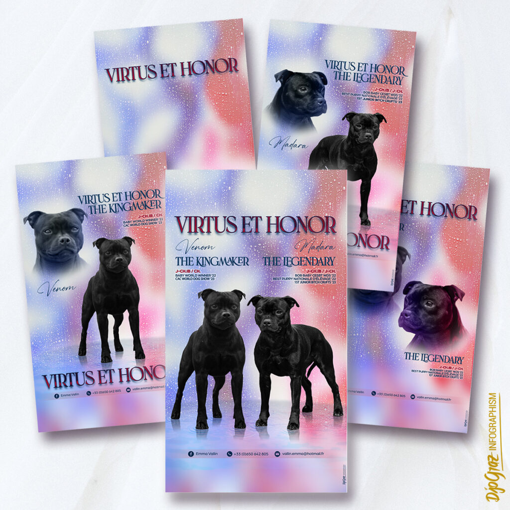 FB story - 16-9 - Elevage: Pack de 5 affichages