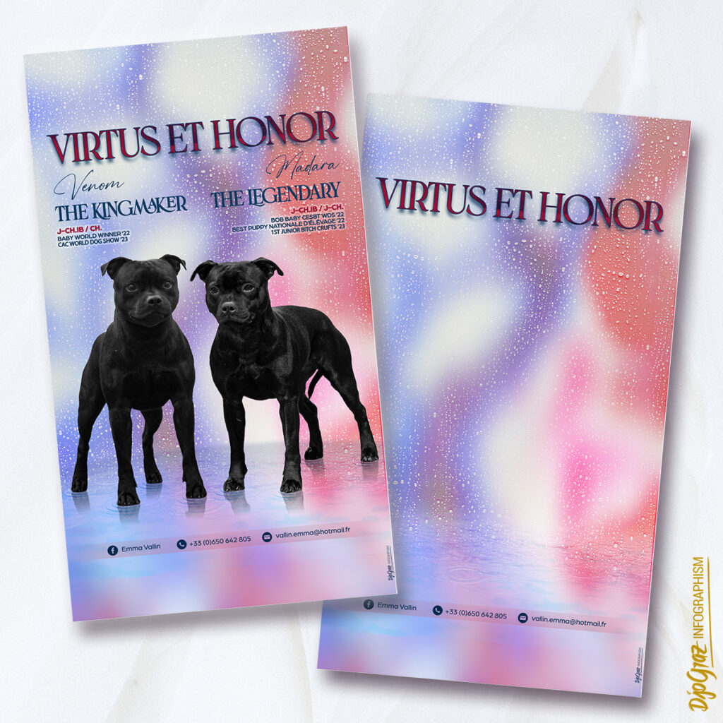 FB story - 16-9 - Elevage: Pack de 2 affichages