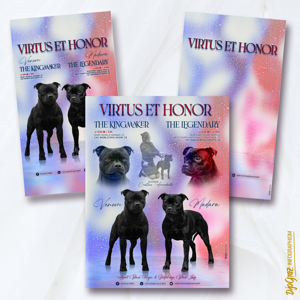 Elevage: Affiche + 2 affichages