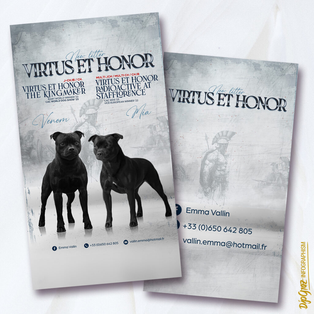 FB story - 16-9 - Annonce de portée: Pack de 2 affichages