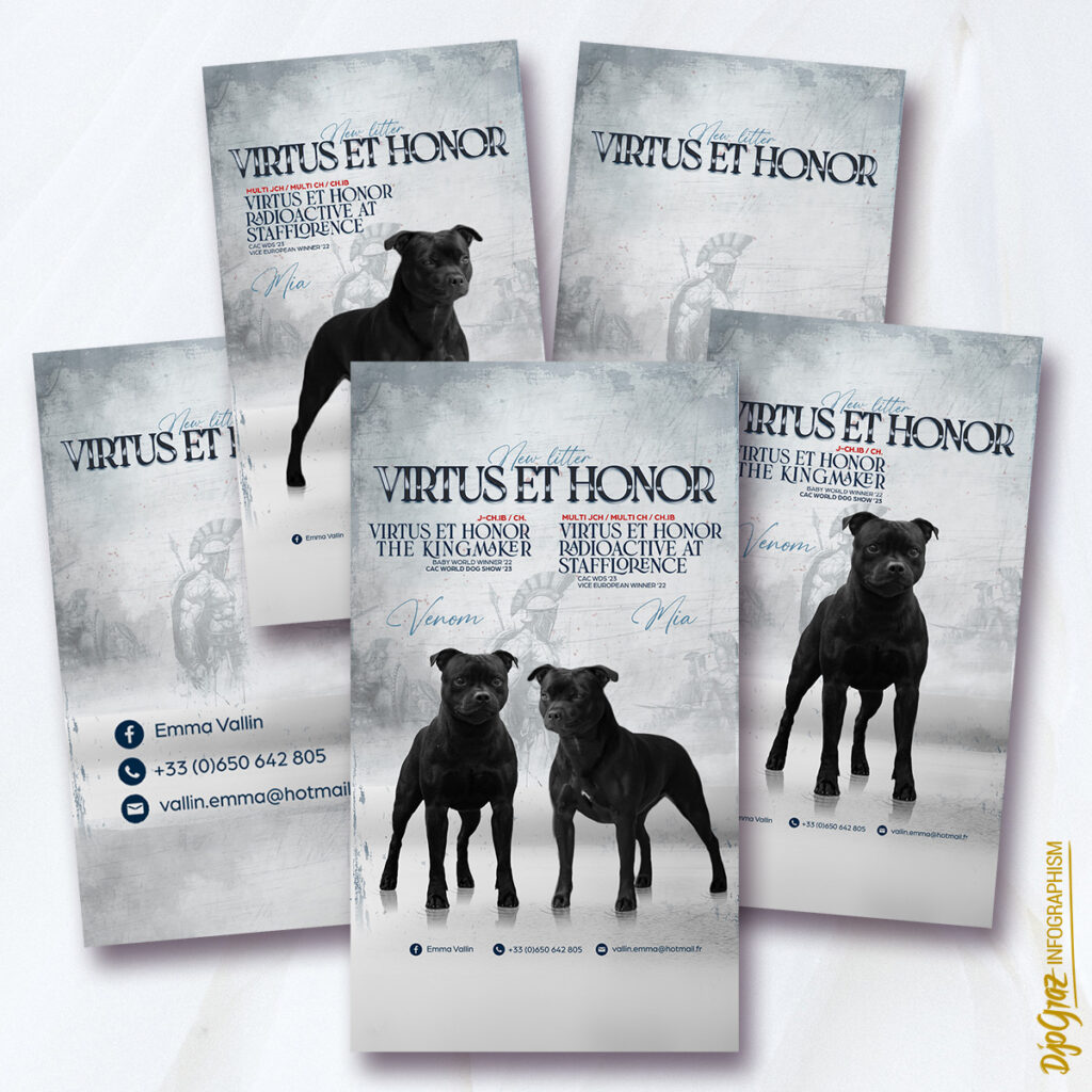 FB story - 16-9 - Annonce de portée: Pack de 5 affichages
