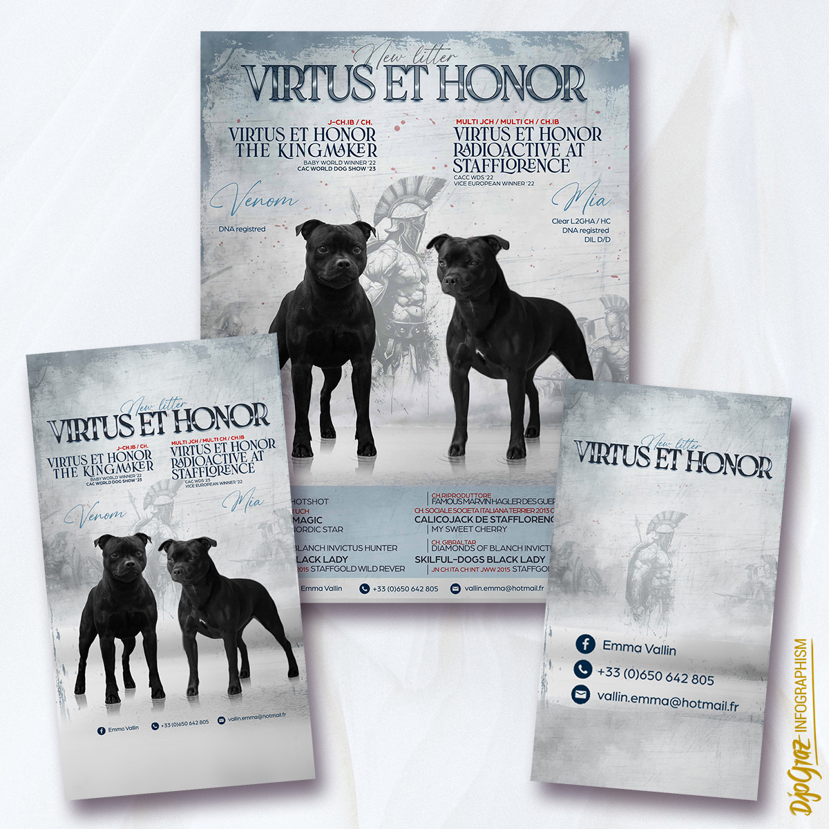 FB story - 16-9 - STUD: Pack de 2 affichages