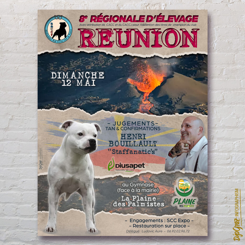 Affiche Expo : RE Réunion_affiche