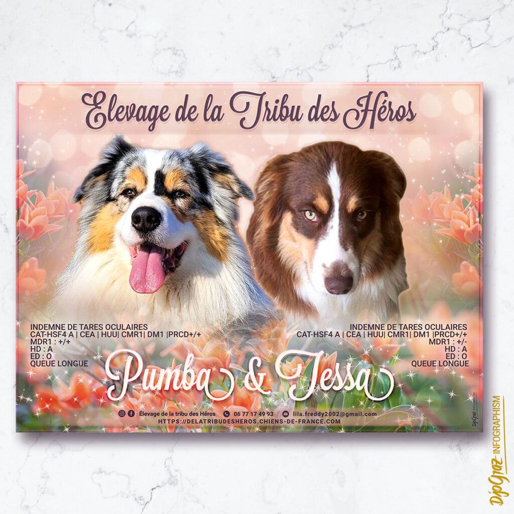 Affiche breeding : DLTDH