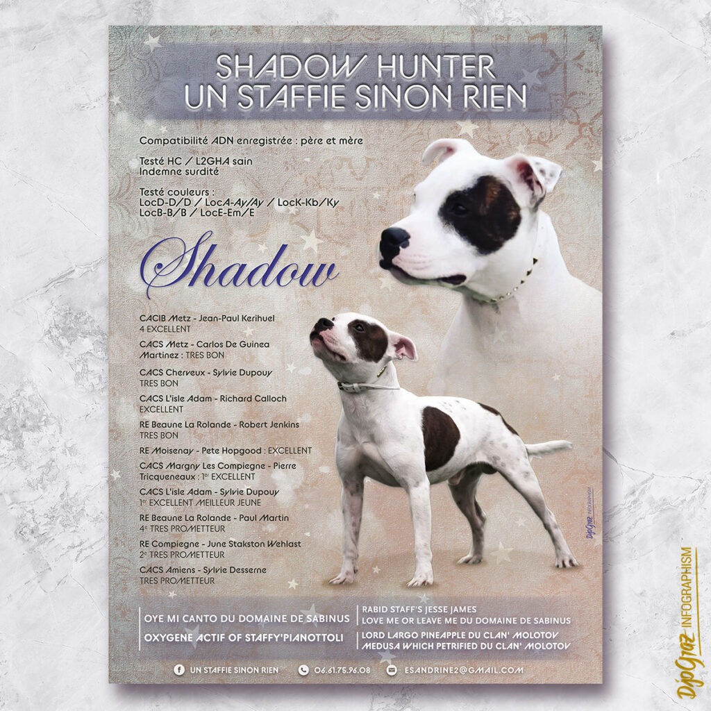 Affiche DOG: USSR_Shadow