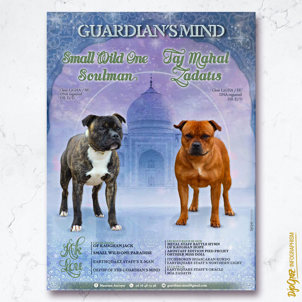 Affiche breeding : GsM Lou HK