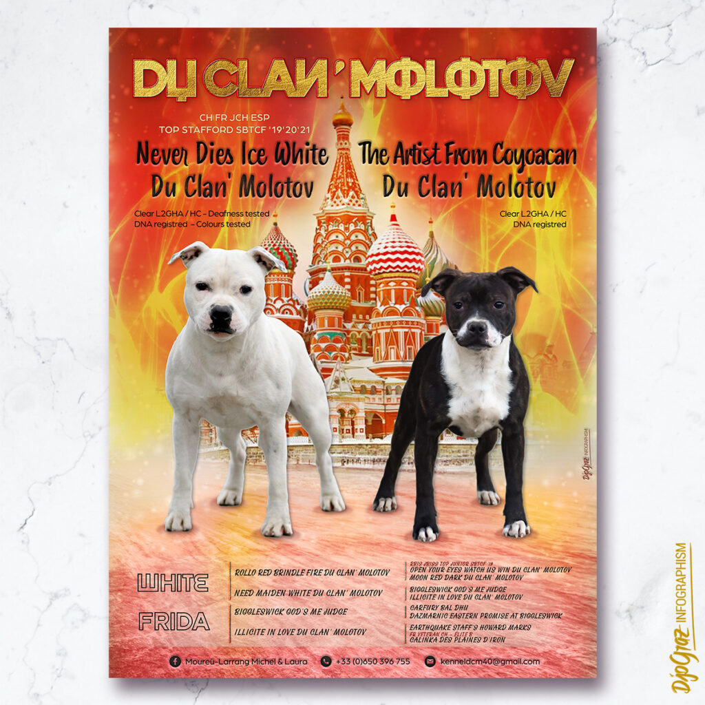 Mise à jour affiche breeding : DCM