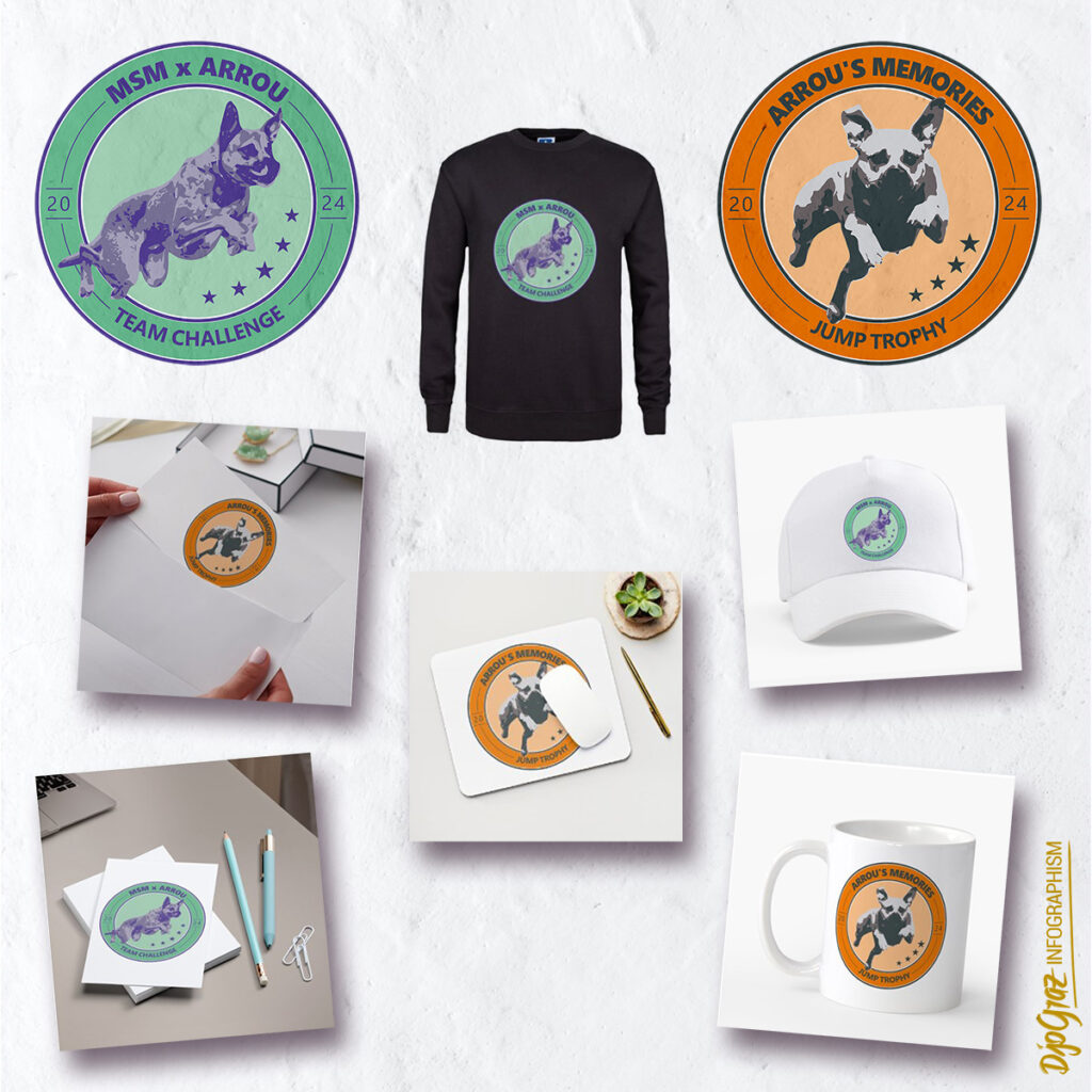 LOGO : 2 dérivés de logo pour des équipes de DCF